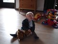 Syngende hund 003